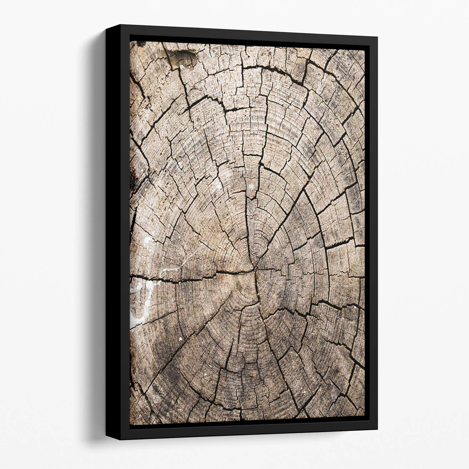 Wood Floating Framed Canvas