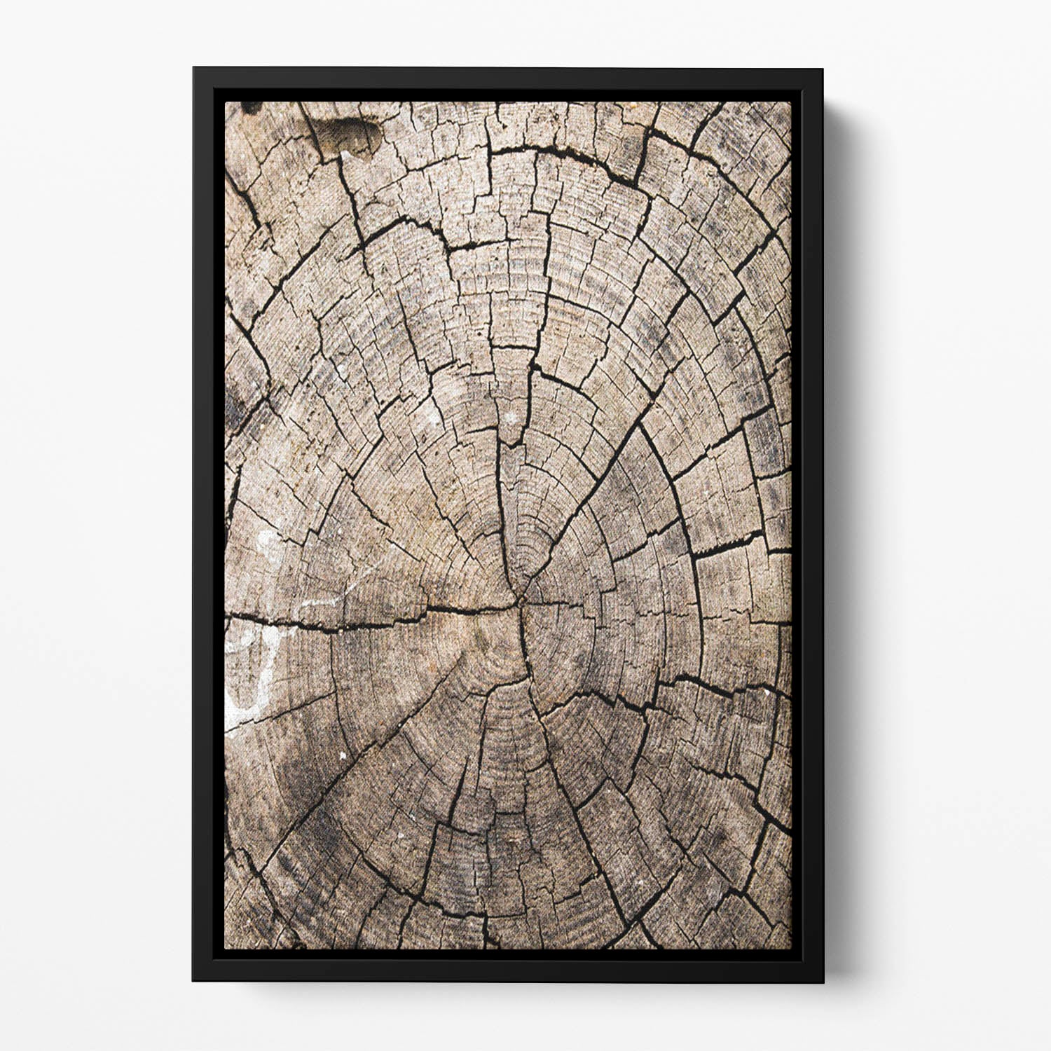 Wood Floating Framed Canvas