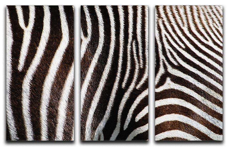 Zebra Fur 3 Split Panel Canvas Print - Canvas Art Rocks - 1