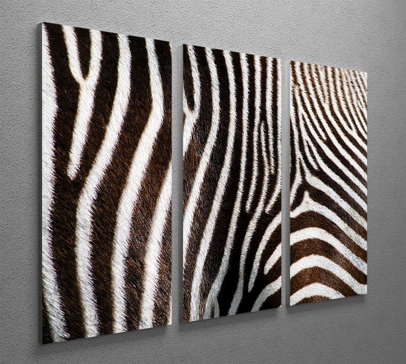 Zebra Fur 3 Split Panel Canvas Print - Canvas Art Rocks - 2