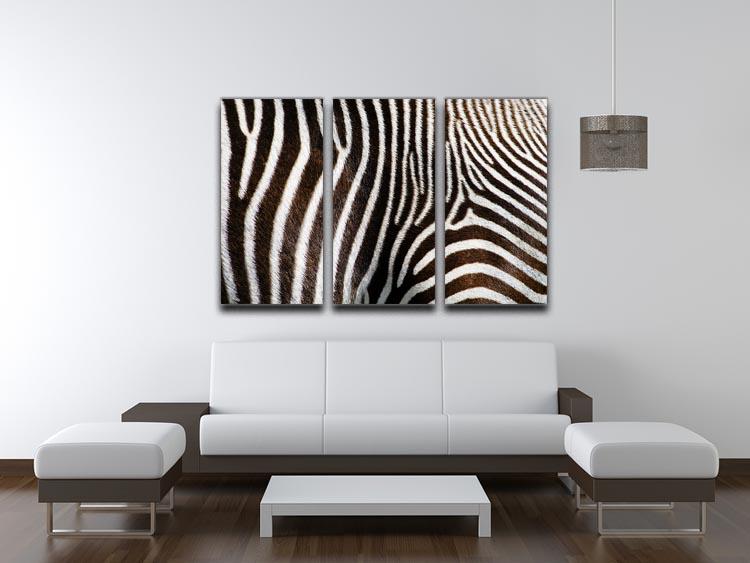 Zebra Fur 3 Split Panel Canvas Print - Canvas Art Rocks - 3