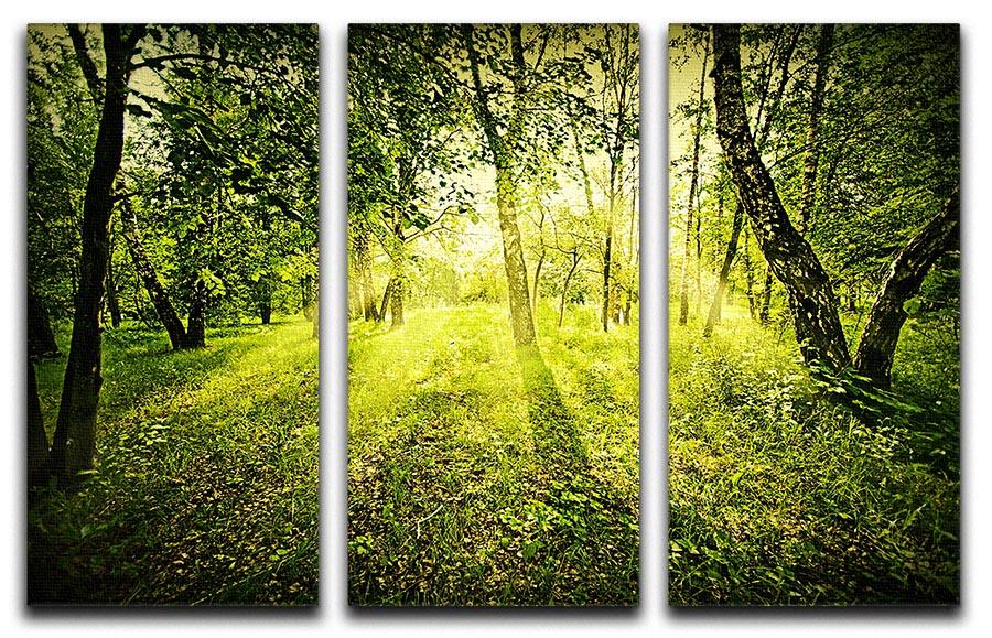 deep forest on summer morning 3 Split Panel Canvas Print - Canvas Art Rocks - 1