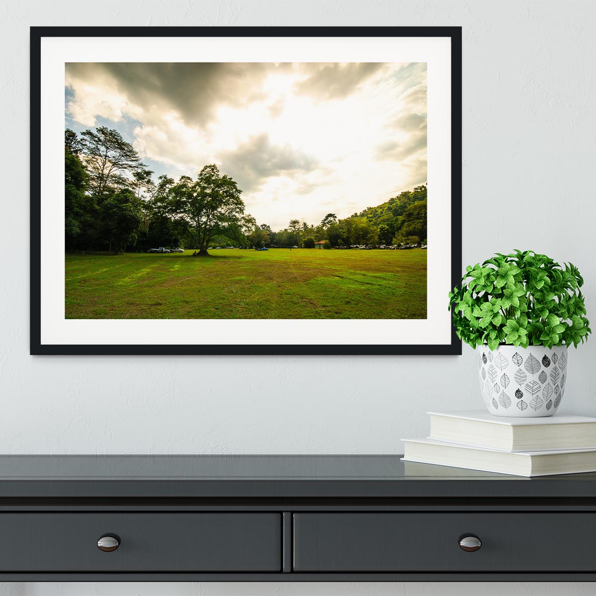 grass and bigtree in the forrest Framed Print - Canvas Art Rocks - 1
