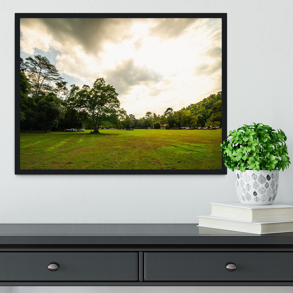 grass and bigtree in the forrest Framed Print - Canvas Art Rocks - 2