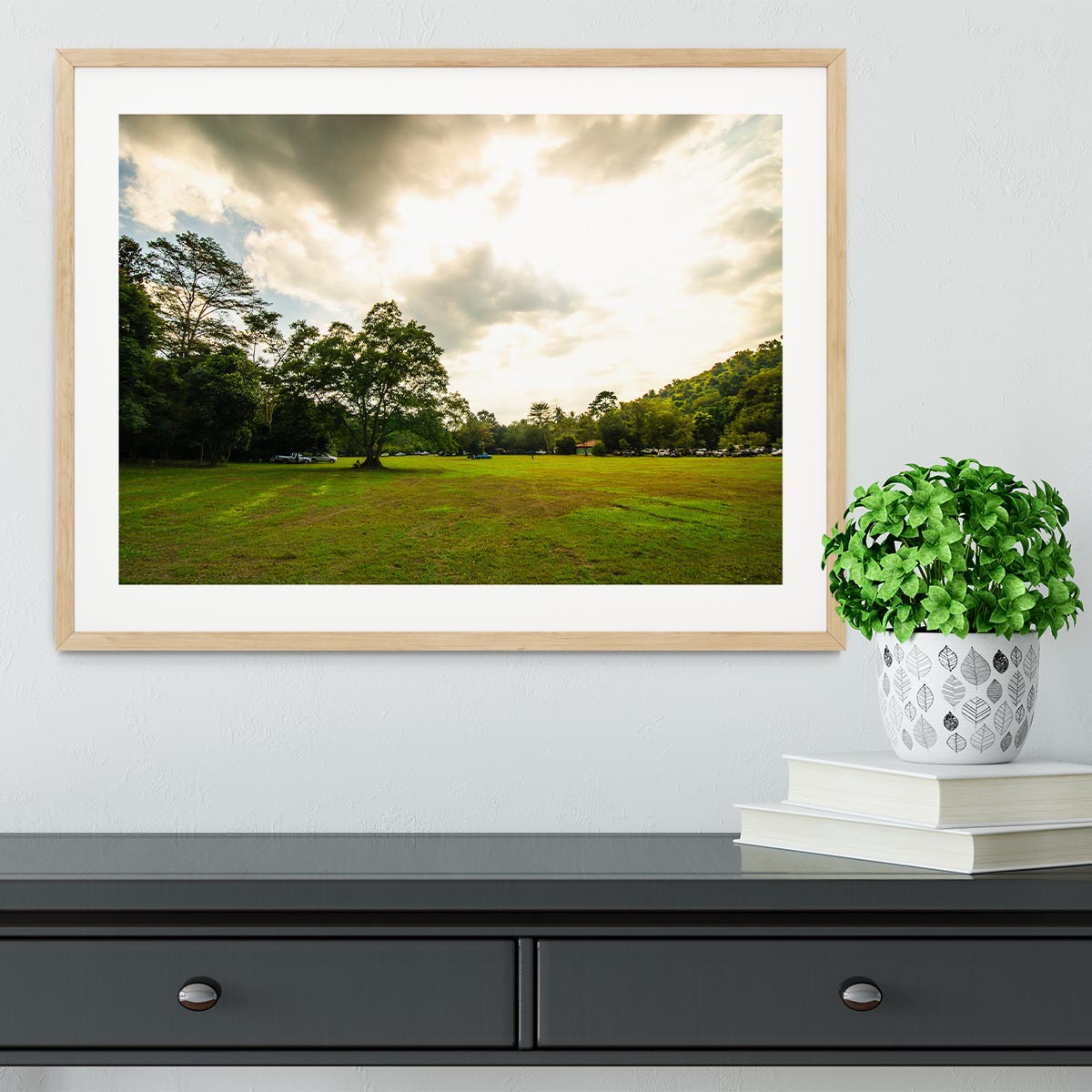 grass and bigtree in the forrest Framed Print - Canvas Art Rocks - 3