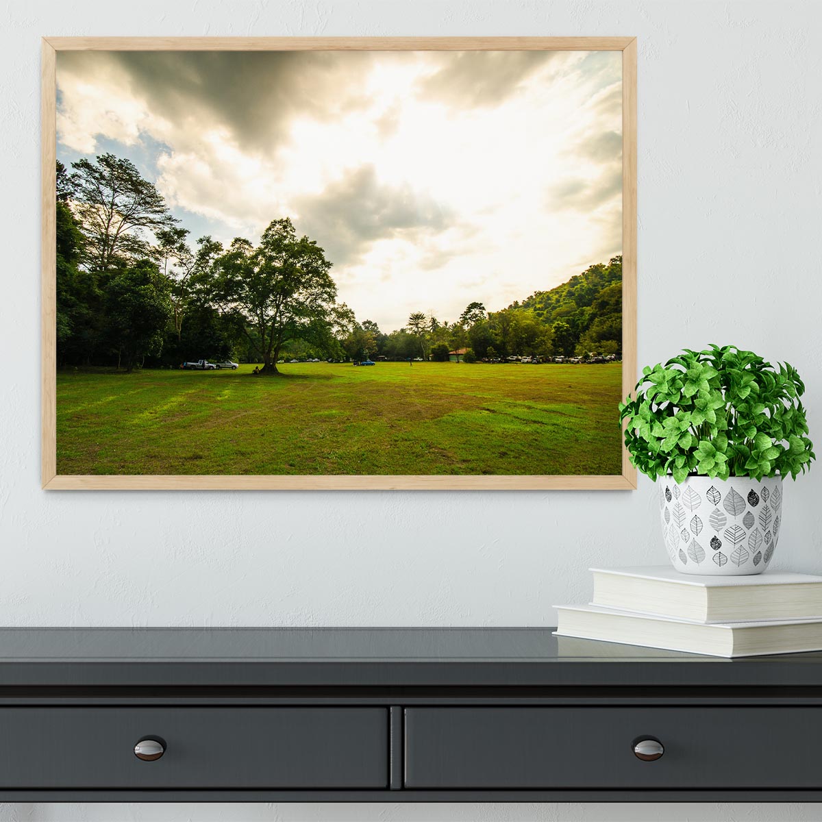 grass and bigtree in the forrest Framed Print - Canvas Art Rocks - 4
