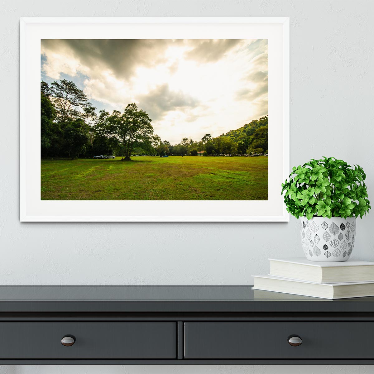 grass and bigtree in the forrest Framed Print - Canvas Art Rocks - 5